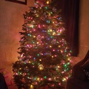 Meet your Posher, Daisy